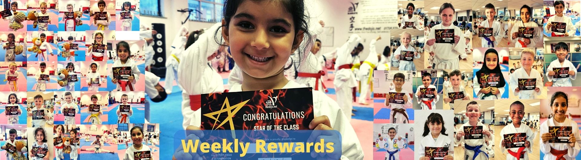 enjoy martial arts reward while having fun